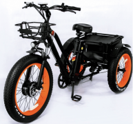 Трехколесный электровелосипед Etoro Grande Panda 750W 20 Трехколесный электровелосипед Etoro Grande Panda 750W 20