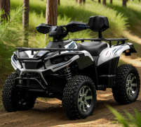 Электроквадроцикл GreenCamel Linhai A-LH40DA (3900W 50 км/ч) Электроквадроцикл GreenCamel Linhai A-LH40DA (3900W 50 км/ч)