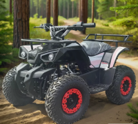 Электроквадроцикл Gbike Snowman 800W Электроквадроцикл Gbike Snowman 800W