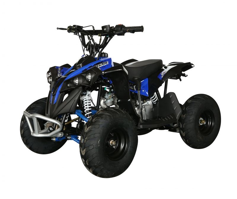 Электроквадроцикл детский MOTAX ATV CAT 1000W Электроквадроцикл детский MOTAX ATV CAT 1000W
